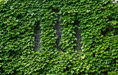 Similar image 1391197