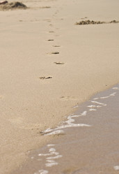 Similar image 1391255