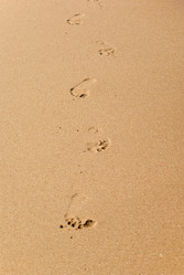 Similar image 1391277