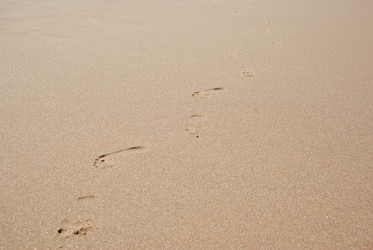 Similar image 1391283