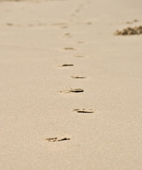 Similar image 1391291