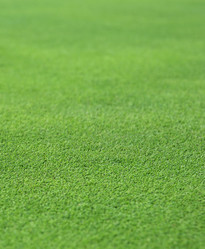 Similar image 1391295