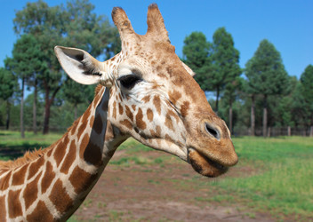 Similar image 1391320