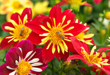 Similar image 1391329