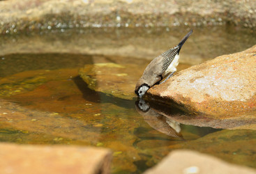 Similar image 1391334