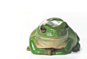 Similar image 1391335