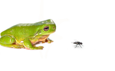 Similar image 1391352