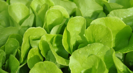 Similar image 1391385