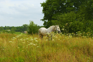 Similar image 1391390