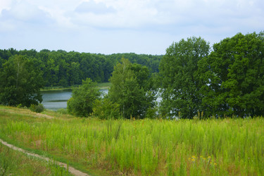 Similar image 1391392