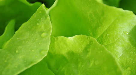 Similar image 1391433