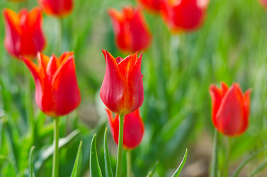 Similar image 1391758