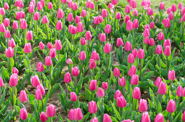 Similar image 1391759