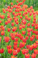 Similar image 1391762