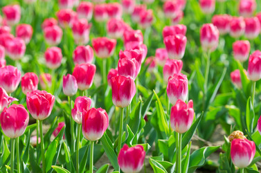 Similar image 1391766