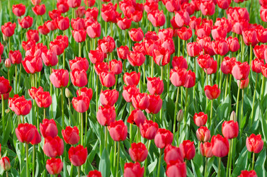 Similar image 1391769