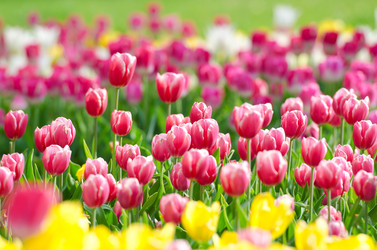 Similar image 1391771