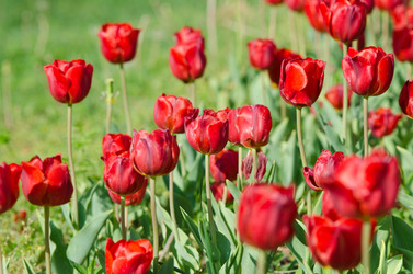 Similar image 1391814