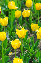 Similar image 1391826