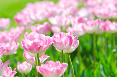 Similar image 1391827