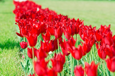 Similar image 1391828