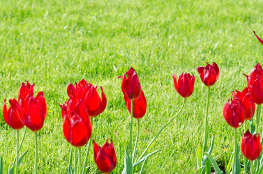 Similar image 1391829