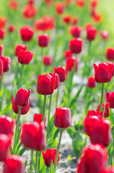 Similar image 1391830