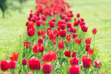 Similar image 1391831