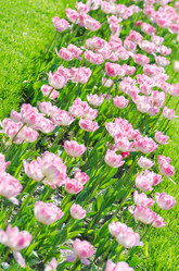 Similar image 1391832