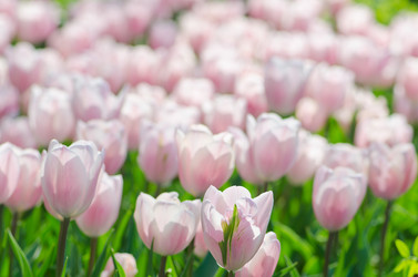 Similar image 1391888