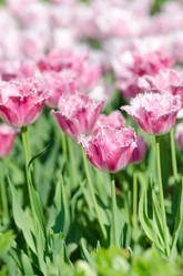 Similar image 1391889