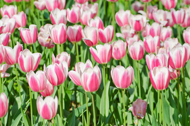 Similar image 1391892