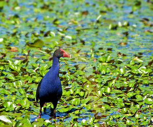 Similar image 1391910