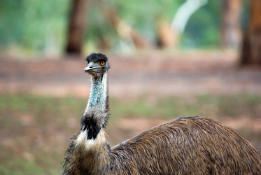 Similar image 1391926