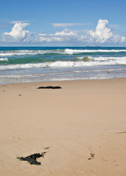 Similar image 1391949