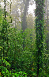 Similar image 1391979