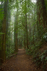 Similar image 1391993