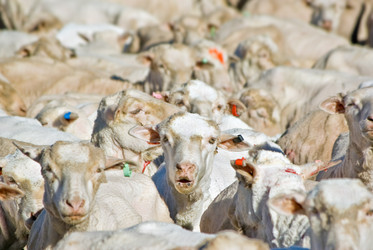 Similar image 1392049