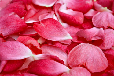 Similar image 1392059