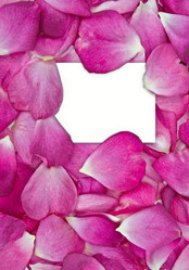 Similar image 1392060