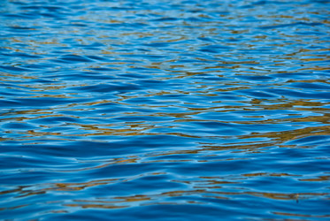 Similar image 1392061