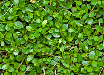 Similar image 1392102