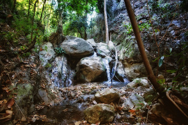 Similar image 1392135