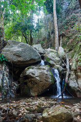 Similar image 1392136