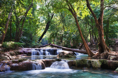 Similar image 1392186