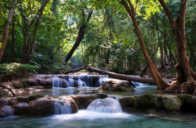 Similar image 1392189