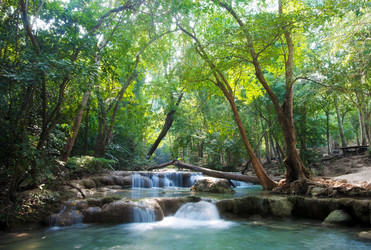 Similar image 1392190