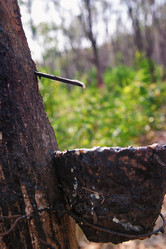 Similar image 1392207