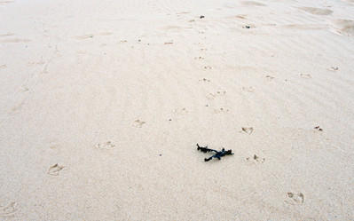 Similar image 1392244