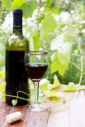 Similar image 1392298